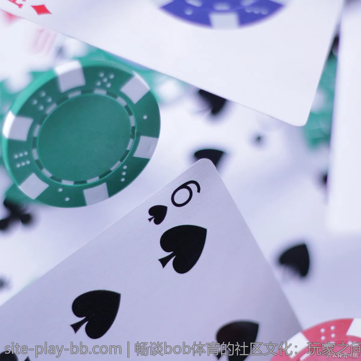 畅谈bob体育的社区文化：玩家之间的互动与支持